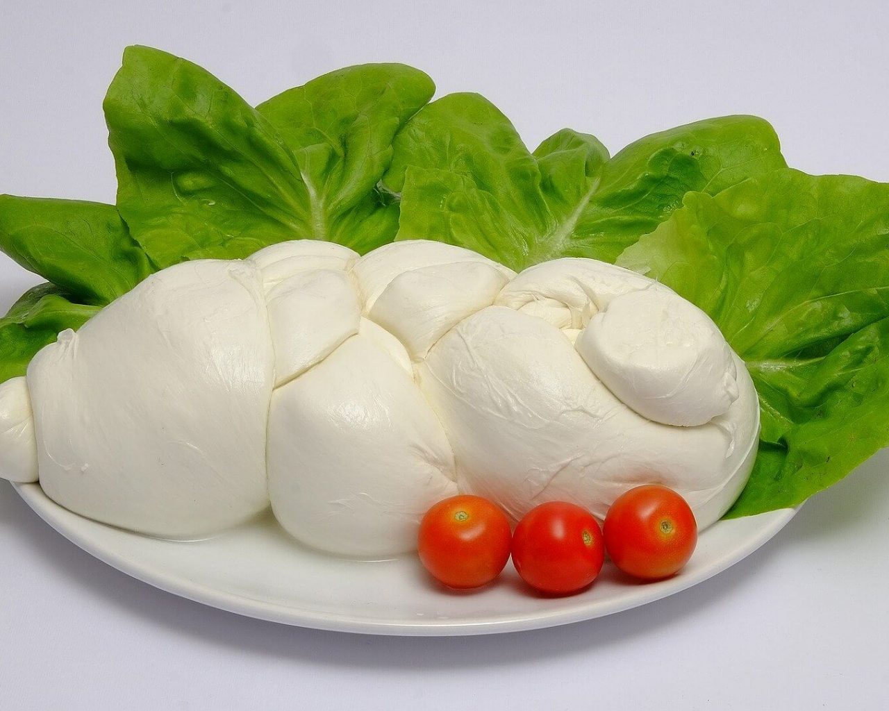 treccia di bufala