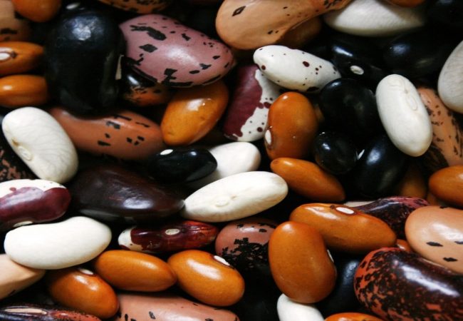 diversi tipi di fagioli
