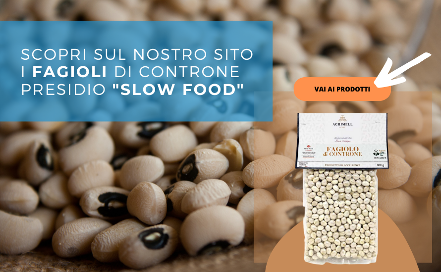 fagiolo di controne slow food