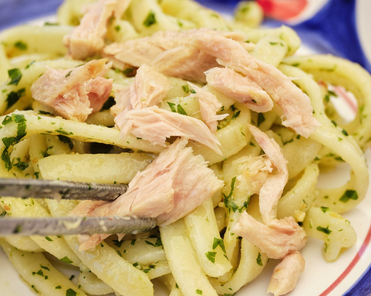 Scialatielli al pinzimonio con granella di nocciola, filetto di tonno e zest di limone 6