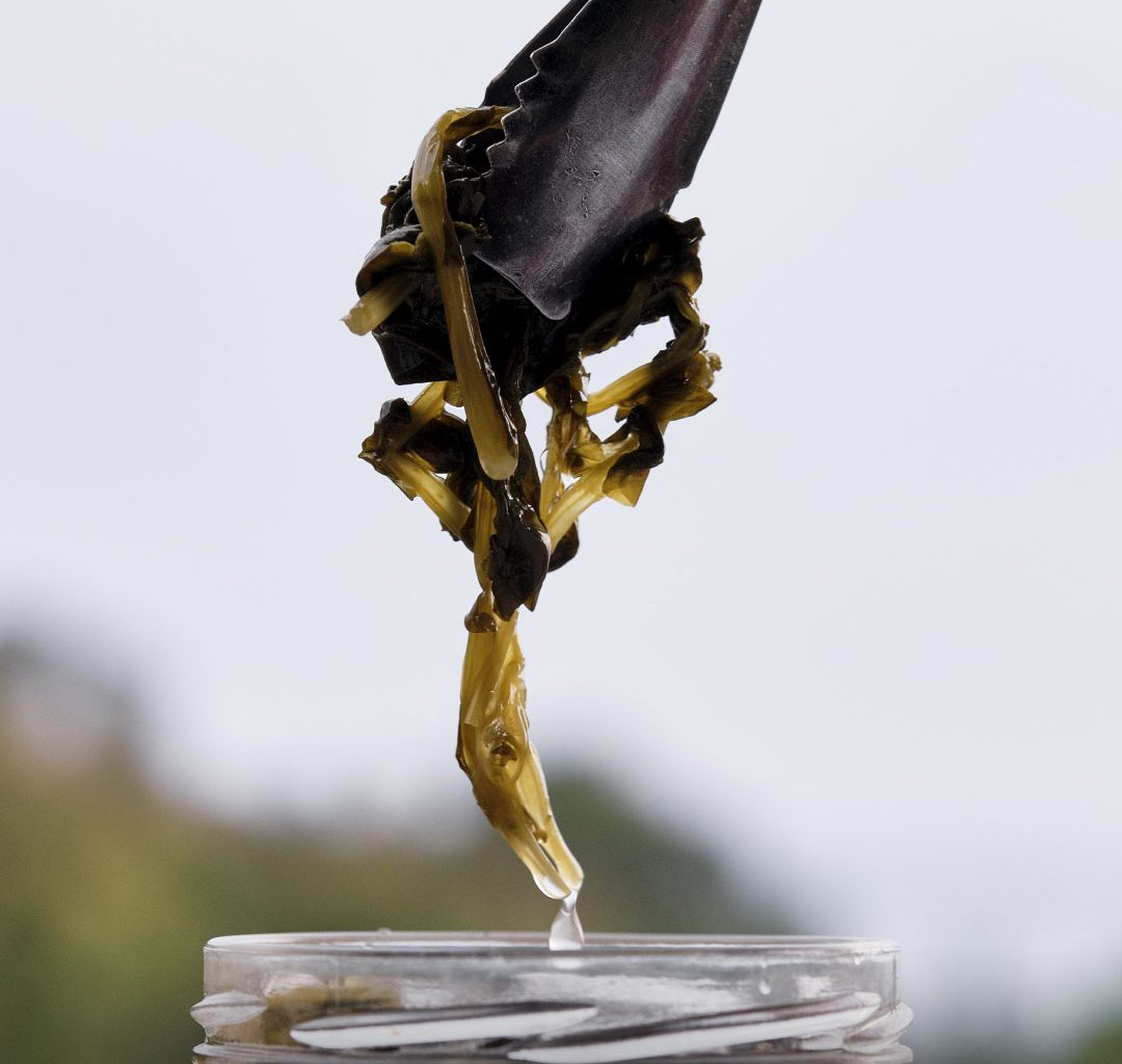 Broccoli e Friarielli