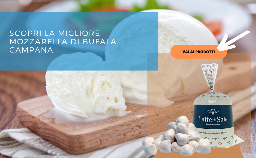 mozzarella di bufala taste sapori mediterranei salerno