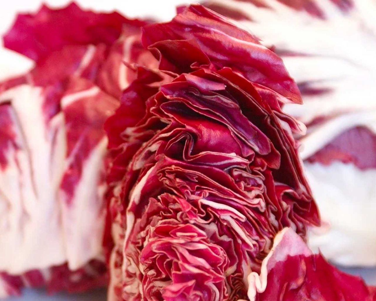 Pasta radicchio speck e noci