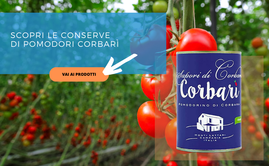 pomodoro corbarì