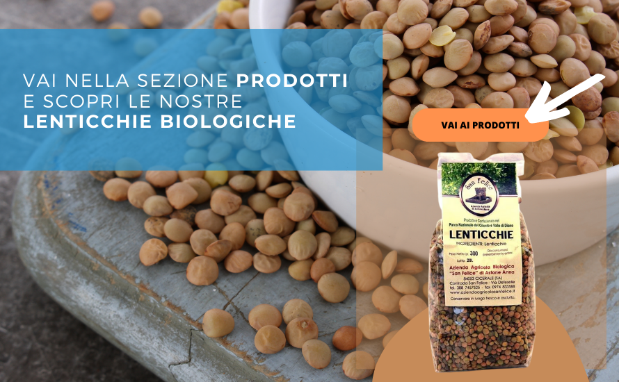 lenticchie biologiche