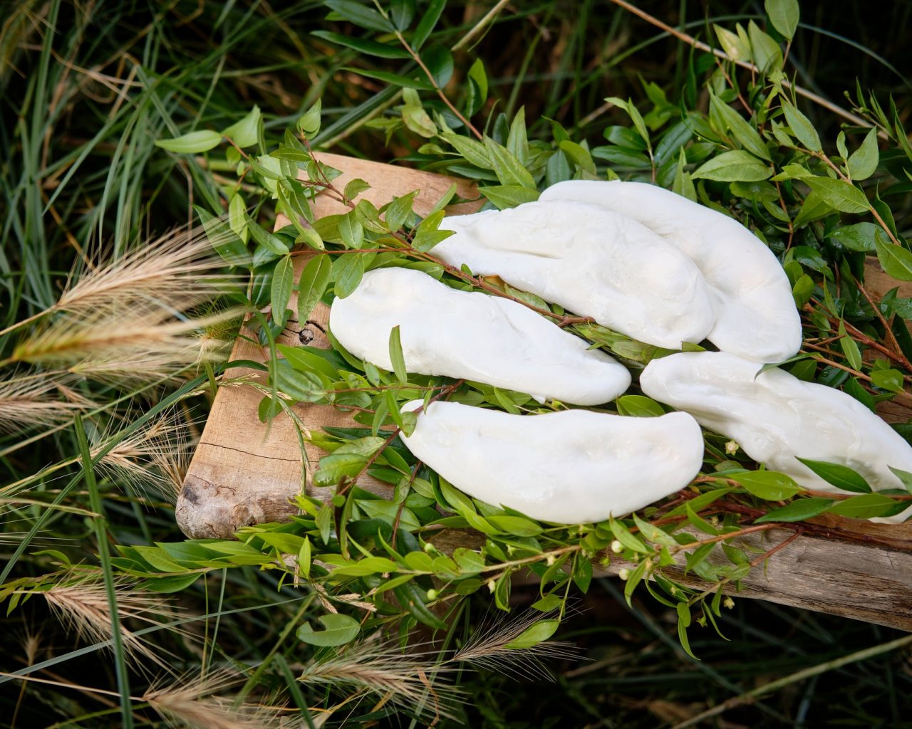 mozzarella nella mortella