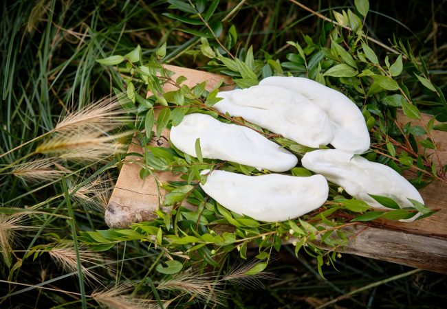 mozzarella nella mortella
